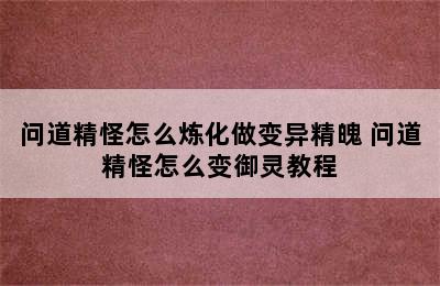 问道精怪怎么炼化做变异精魄 问道精怪怎么变御灵教程